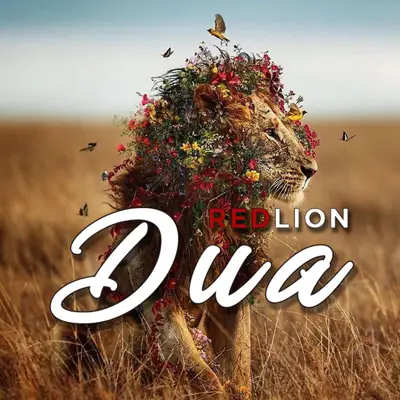 DUA Cover