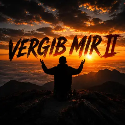 VERGIB MIR II Cover